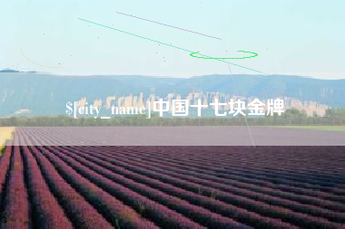 垦利中国十七块金牌