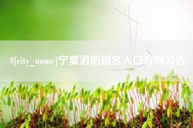 垦利宁夏消防报名入口官网公告