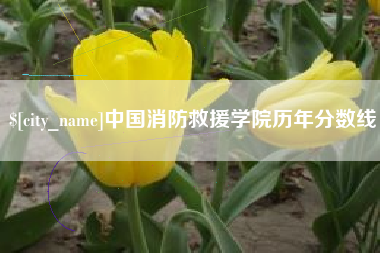 垦利中国消防救援学院历年分数线