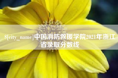 垦利中国消防救援学院2021年浙江省录取分数线