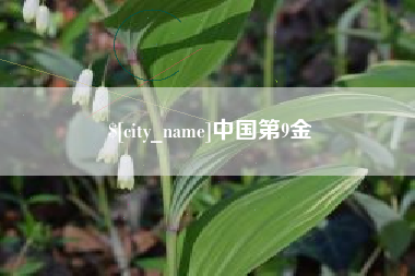 垦利中国第9金