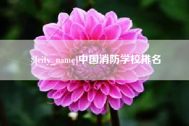 垦利中国消防学校排名