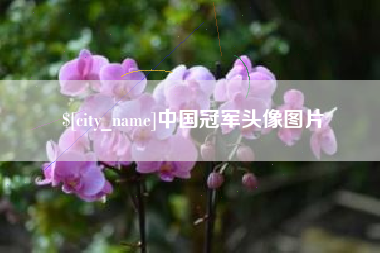 垦利中国冠军头像图片