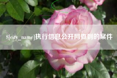 垦利执行信息公开网查到的案件