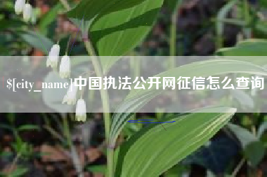 垦利中国执法公开网征信怎么查询