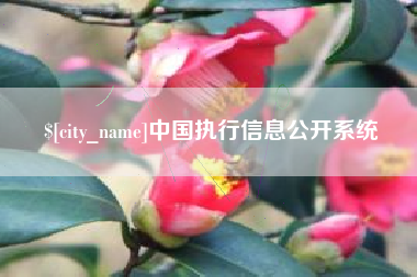 垦利中国执行信息公开系统
