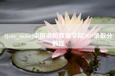 垦利中国消防救援学院2019录取分数线