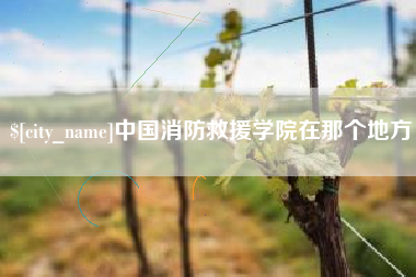 垦利中国消防救援学院在那个地方