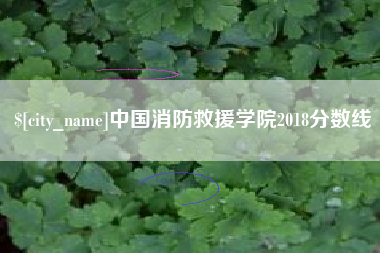 垦利中国消防救援学院2018分数线