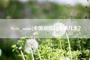 垦利全国消防日是第几天？