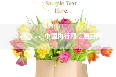 垦利中国执行网信息官网