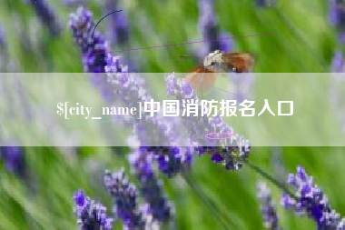 垦利中国消防报名入口