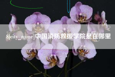 垦利中国消防救援学院是在哪里
