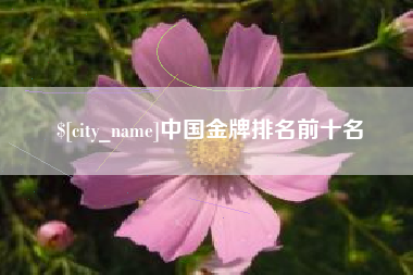垦利中国金牌排名前十名