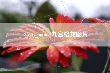 垦利九宫格龙图片