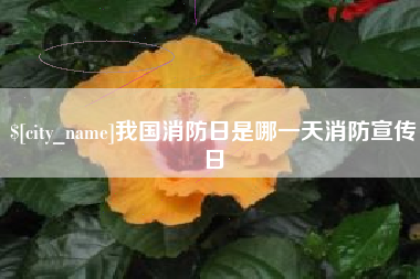 垦利我国消防日是哪一天消防宣传日