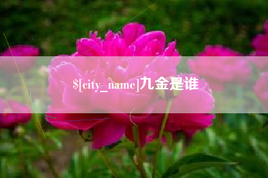 垦利九金是谁