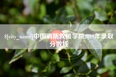 垦利中国消防救援学院2019年录取分数线