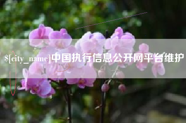 垦利中国执行信息公开网平台维护