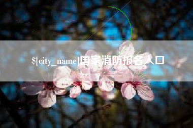 垦利国家消防报名入口