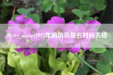 垦利2025年消防员报名时间表格