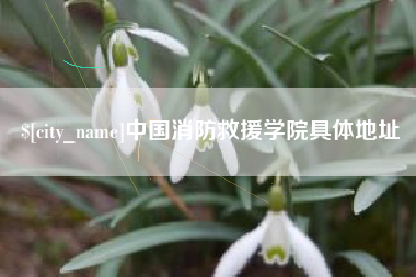 垦利中国消防救援学院具体地址