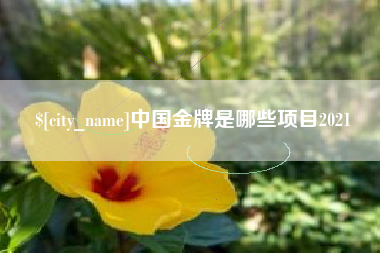 垦利中国金牌是哪些项目2021