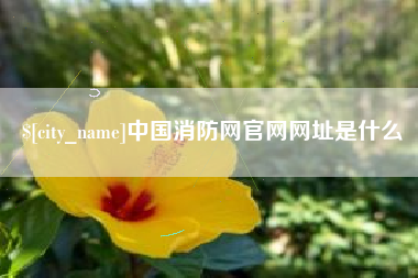 垦利中国消防网官网网址是什么