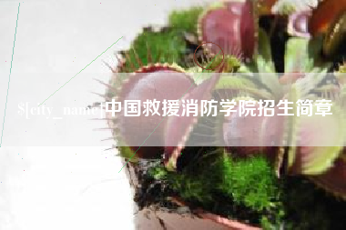 垦利中国救援消防学院招生简章