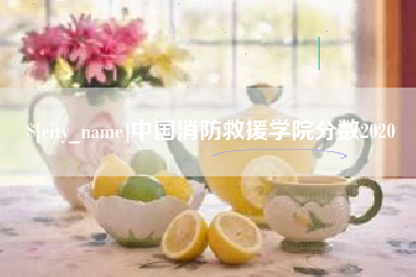 垦利中国消防救援学院分数2020