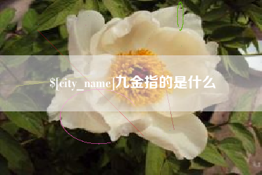 垦利九金指的是什么