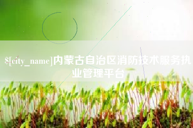 垦利内蒙古自治区消防技术服务执业管理平台