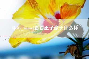 垦利看看王子豪长什么样