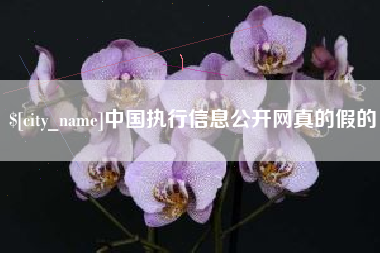 垦利中国执行信息公开网真的假的