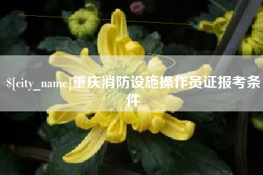 垦利重庆消防设施操作员证报考条件