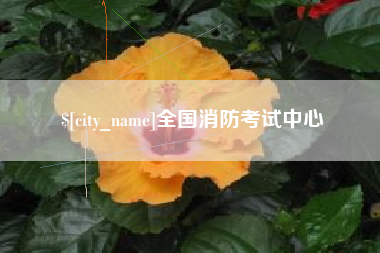 垦利全国消防考试中心