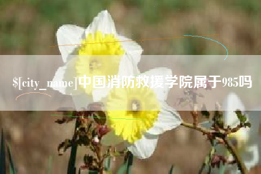 垦利中国消防救援学院属于985吗