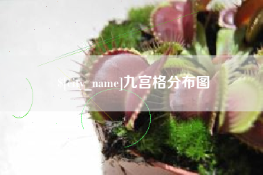 垦利九宫格分布图