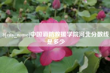 垦利中国消防救援学院河北分数线是多少
