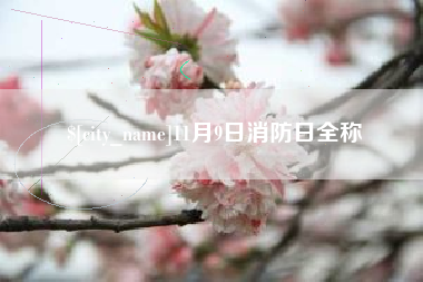 垦利11月9日消防日全称