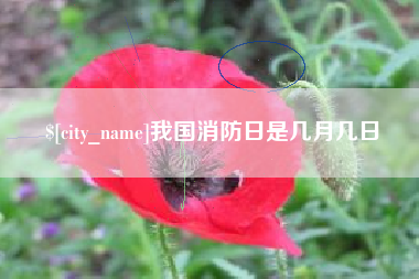 垦利我国消防日是几月几日