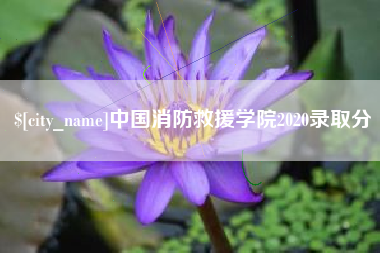 垦利中国消防救援学院2020录取分