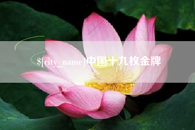 垦利中国十九枚金牌