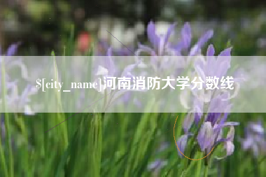垦利河南消防大学分数线