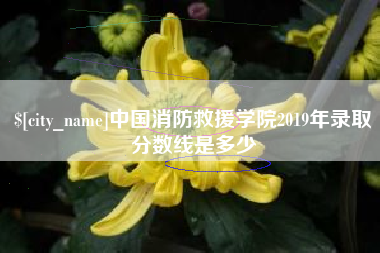 垦利中国消防救援学院2019年录取分数线是多少