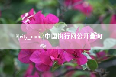垦利中国执行网公开查询