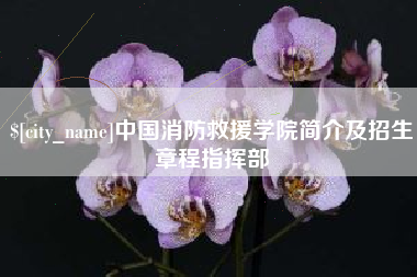 垦利中国消防救援学院简介及招生章程指挥部
