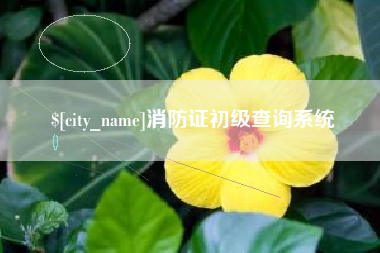 垦利消防证初级查询系统