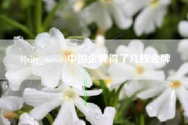 垦利中国金牌得了几枚金牌