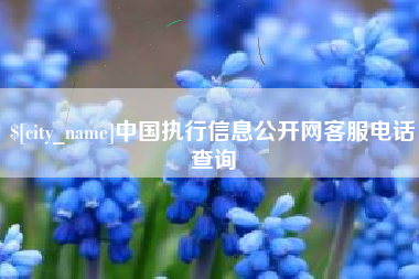 垦利中国执行信息公开网客服电话查询